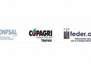 trapani-diga-rubino-un-deja-vu-idrico-che-preoccupa-gli-agricoltori