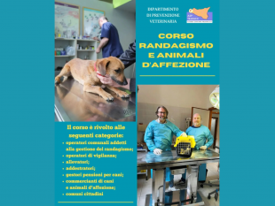 mazara/asp-trapani-prorogate-le-iscrizioni-per-il-corso-di-formazione-su-randagismo-e-animali-daffezione