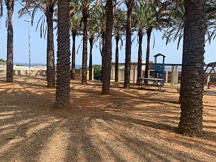 triscina-scerbatura-e-pulizia-spiagge-sager-e-operai-a-lavoro