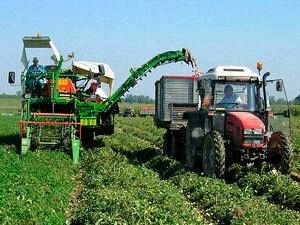 gli-agricoltori-mazaresi-in-stato-di-agitazione