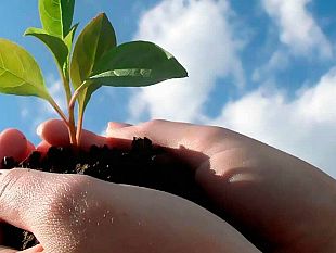 agricoltura-accesso-al-credito-firmato-protocollo-tra-unicredit-e-assessorato-regionale-all-agricoltura-50-milioni-per-gli-investimenti