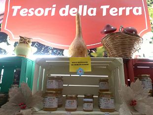 tesori-della-terra-loriginale-prodotto-tutto-siciliano-il-miele-di-fiori-di-cardo