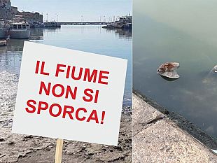 rifiuti-nel-fiume-mazaro-il-14-luglio-flash-mob-del-comitato-makara-s-maria-di-gesu