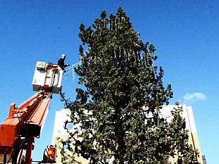 mazara-la-giunta-municipale-approva-il-programma-di-manifestazioni-natalizie