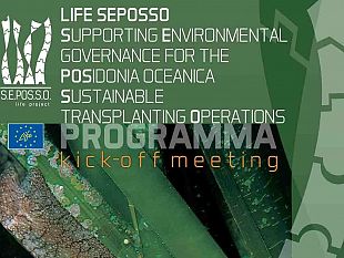 amp-isole-egadi-al-convegno-life-seposso-per-reimpianto-in-mare-della-posidonia-oceanica