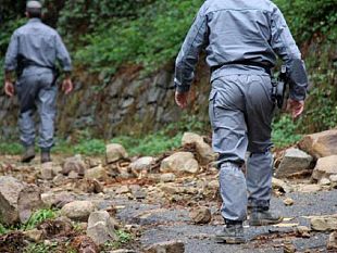 settore-forestale-le-parole-stanno-a-mille-ma-i-fatti-stanno-a-zero