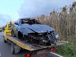 incidente-sulla-ss115-mazara-campobello-auto-investe-due-asini