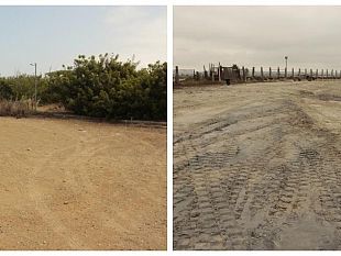 marsala/marsala-lamministrazione-grillo-impegnata-nella-sistemazione-spiaggia-di-birgi
