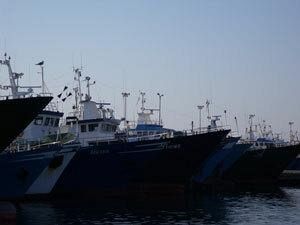 associazione-progetto-pesca-del-mediterraneo-esprimiamo-gioia-per-la-positiva-risoluzione-della-vicenda-del-peschereccio-airone