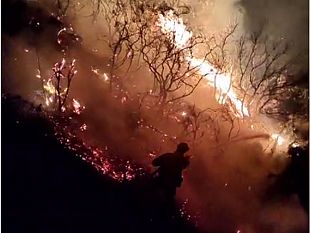 incendio-ad-erice-si-contano-i-danni