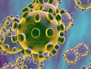coronavirus-i-dati-di-oggi-a-trapani-e-in-provincia