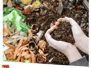 rifiuti-pubblicati-due-avvisi-da-48-milioni-per-compostaggio-e-ccr