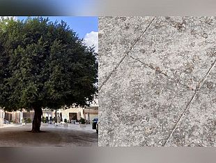 mazara-piazza-plebiscito-escrementi-di-uccelli-e-odori-nauseabondi