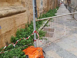 trapani-gaspare-gianformaggio-denuncia-il-degrado-di-via-san-francesco-dassisi
