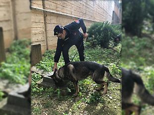 alcamo-attenzione-ai-giovani-e-contrasto-alla-droga-i-carabinieri-trovano-marijuana-in-una-scuola