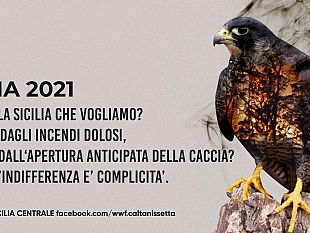 caccia-associazioni-ambientaliste-impugnano-al-tar-il-calendario-venatorio