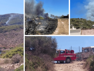 incendio-nei-pressi-della-pineta-di-levanzo-le-dichiarazioni-del-sindaco-forgione