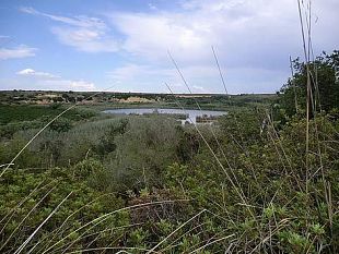 world-wetlands-day-2014-domani-visita-guidata-alla-riserva-lago-preola-e-gorghi-tondi