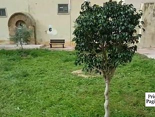 video-allic-borsellino-ajello-celebrata-la-giornata-mondiale-dellalbero