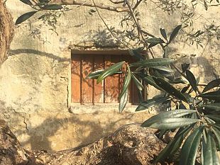 rete-punica-per-il-sociale-un-centro-con-e-senza-di-noi-per-diversamente-abili-a-marsala-il-primo-in-provincia