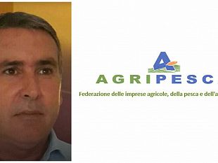 mazara/nicola-giacalone-agripesca-serve-rivoluzione-per-la-pesca-del-gambero-rosso