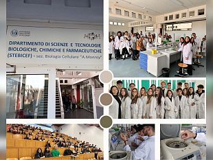 mazara-entusiasmo-competenza-e-futuro-per-lis-r-daltavilla