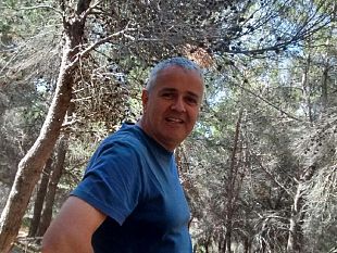 riforma-mia-non-ti-conosco-i-forestali-attendono