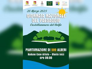 castellammare-500-alberi-piantati-dai-bambini-su-monte-inici-nelle-aree-bruciate-dagli-incendi