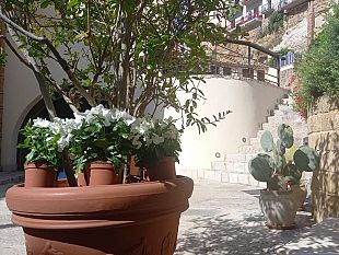 concorso-balconi-fioriti-per-rendere-piu-bella-castellammare-del-golfo