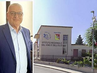 vinitaly-2026-enea-e-irvo-presentano-con-mario-ragusa-la-guida-al-risparmio-energetico