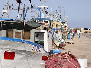 il-cda-del-gal-della-pesca-trapanese-approva-le-linee-di-indirizzo-della-strategia-territoriale-di-sviluppo