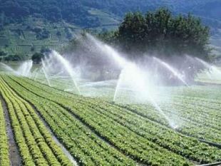 la-commissione-tributaria-regionale-da-ragione-agli-agricoltori-di-feder-agri-mcl-e-torto-al-consorzio-di-bonifica-trapani-1