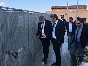 salemi-canile-rifugio-su-un-bene-confiscato-alla-mafia