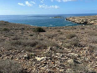 favignana-contrada-stornello-interviene-lonciminnisi-m5s