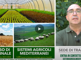 climate-change-e-agricoltura-mediterranea-a-trapani-un-corso-di-laurea-unipa-innovativo