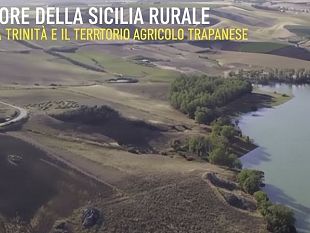 crisi-idrica-senza-fine-nel-territorio-trapanese-lallarme-dei-sindaci