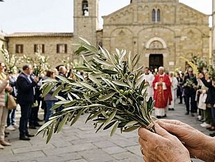 il-trionfo-e-lattesa-il-profondo-significato-della-domenica-delle-palme