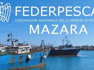 gambero-rosso-nel-canale-di-sicilia-federpesca-riunisce-a-mazara