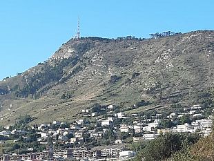 alcamo-muschio-ribelle-denuncia-mancanza-di-ascolto-e-trasparenza-da-parte-delle-istituzioni