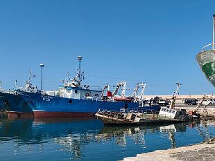 pesca-siciliana-la-crisi-non-puo-piu-aspettare-le-organizzazioni-chiedono-un-intervento-strutturale