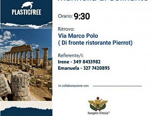 plastic-free-domani-volontari-in-azione-per-ripulire-la-spiaggia-dellacropoli