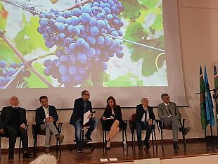 video-incontro-dibattito-qualita-delle-produzioni-lavoro-buono-e-legale-a-cura-di-uila-trapani-e-strada-del-vino-e-sapori-val-di-mazara