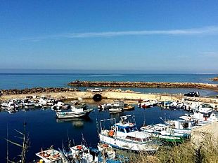 lavori-al-porto-di-marinella-di-selinunte-le-alghe-sono-in-fibrillazione