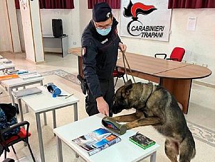 partanna/partanna-controlli-antidroga-nella-scuola-gli-studenti-passano-lesame