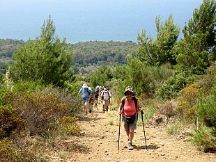 una-passeggiata-per-vivere-il-parco-archeologico-di-selinunte