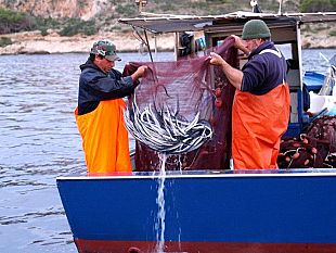 trionfo-di-sapori-con-laugghia-pesce-povero-ricchezza-del-mediterraneo-a-favignana