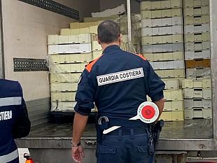 sequestrati-800-chili-di-pesce-non-tracciato-e-scaduto-sanzionati-10-commercianti-del-trapanese