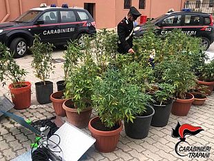 pantelleria-coltivazione-autindoor-arrestato-isolano-dal-pollice-verde