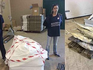 mazara-guardia-costiera-sequestra-oltre-250-kg-di-prodotti-ittici-irregolari