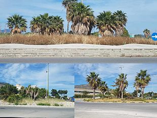 lo-spazio-cittadino-ecco-le-condizioni-in-cui-versano-le-rotatorie-a-trapani